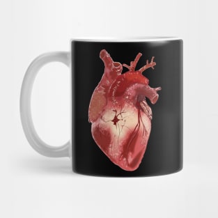 ANATOMICAL HEART Mug